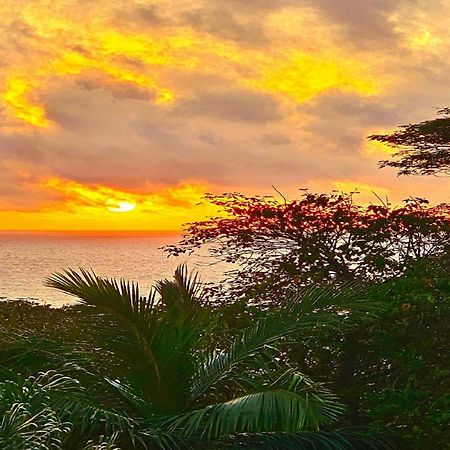 Au Lever Du Soleil Guest House Sea View Au Cap 외부 사진