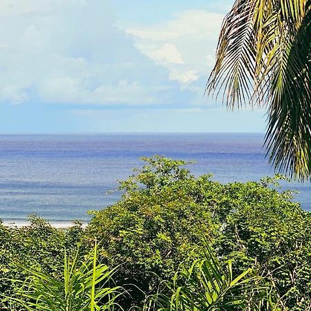 Au Lever Du Soleil Guest House Sea View Au Cap 외부 사진